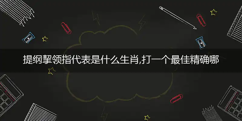 提纲挈领