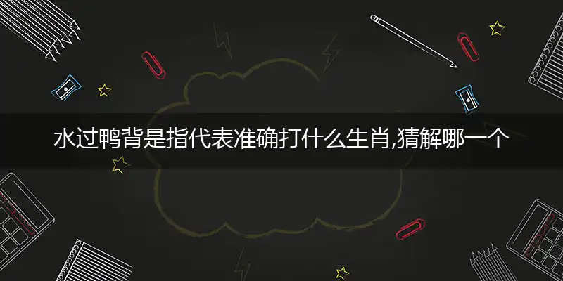 水过鸭背是指代表准确打什么生肖,猜解哪一个最佳作答成语解释释义