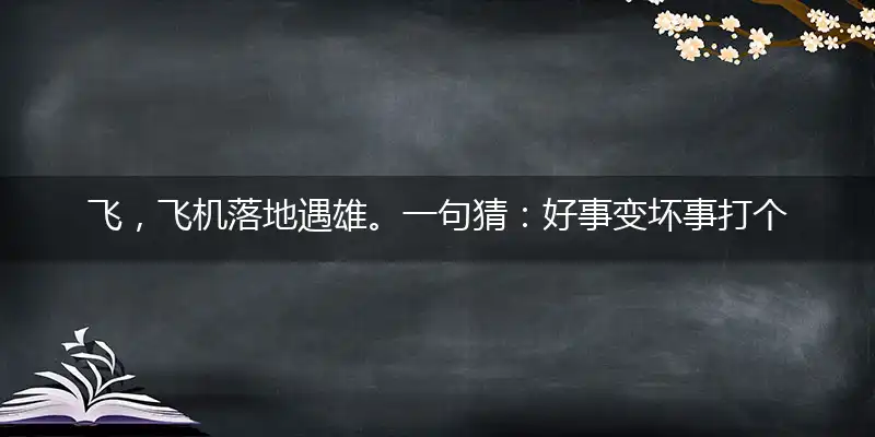 飞,飞机落地遇雄。一句猜：好事变坏事