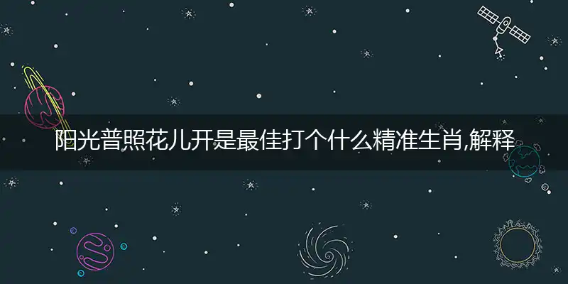 阳光普照花儿开