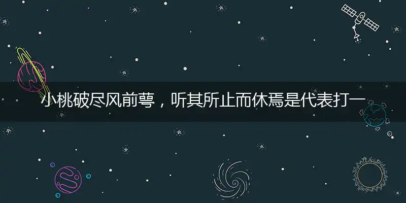 小桃破尽风前萼,听其所止而休焉