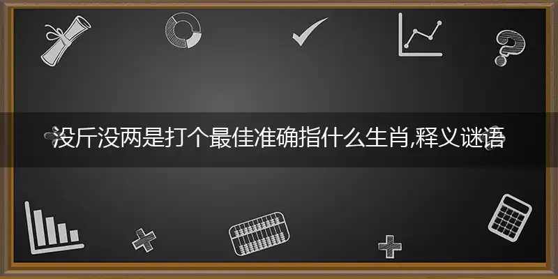 没斤没两是打个最佳准确指什么生肖,释义谜语解释剖析
