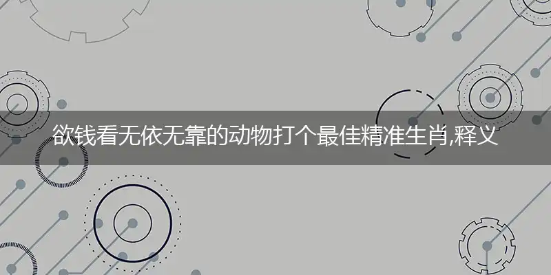 欲钱看无依无靠的动物