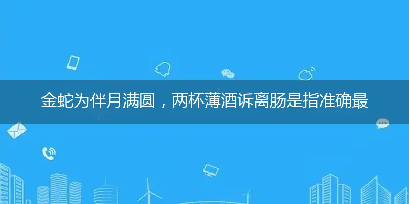 金蛇为伴月满圆,两杯薄酒诉离肠