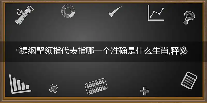 提纲挈领指代表指哪一个准确是什么生肖,释义最佳完美词语解析