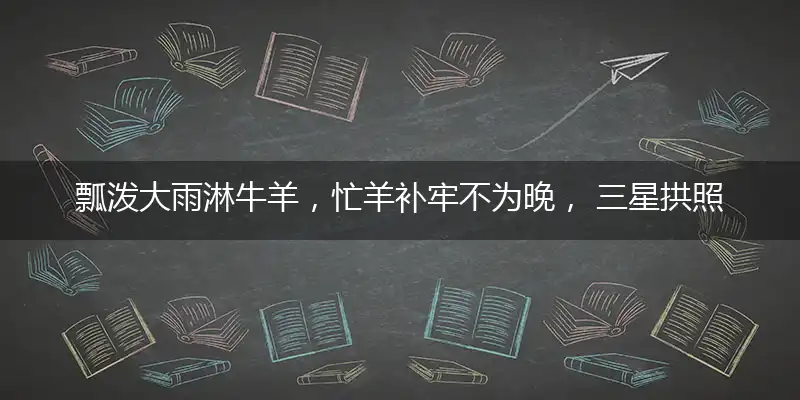 瓢泼大雨淋牛羊,忙羊补牢不为晚, 三星拱照七八合,目标字在虎头山