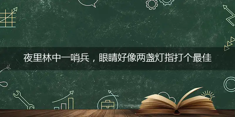 夜里林中一哨兵,眼睛好像两盏灯