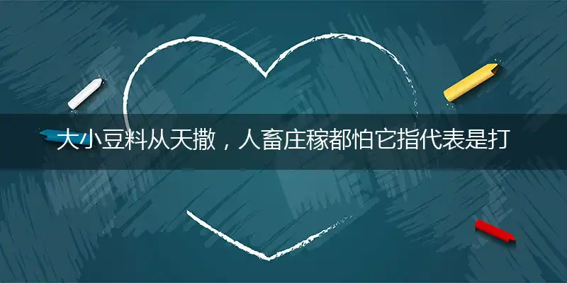 大小豆料从天撒,人畜庄稼都怕它