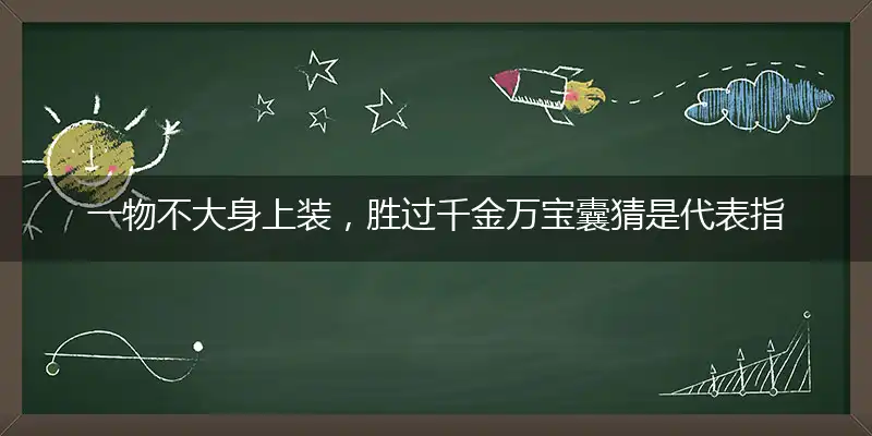 一物不大身上装,胜过千金万宝囊
