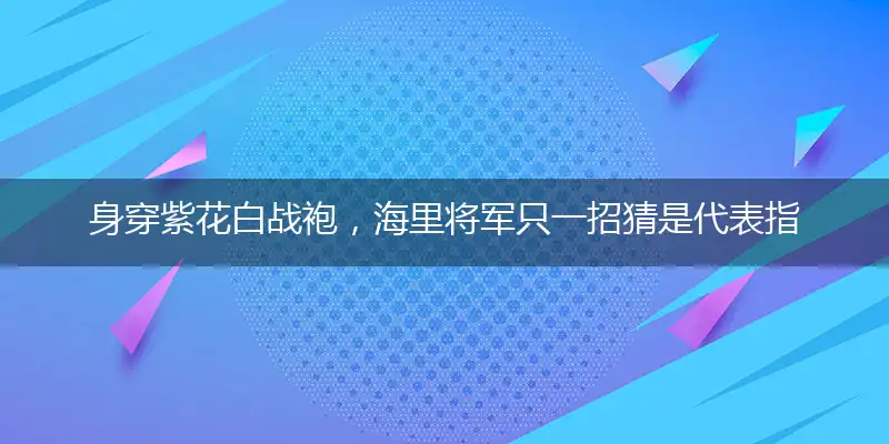 身穿紫花白战袍,海里将军只一招