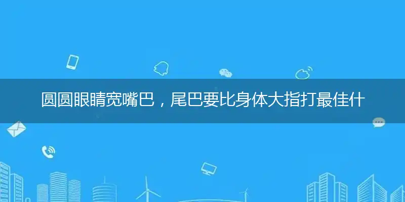 圆圆眼睛宽嘴巴,尾巴要比身体大
