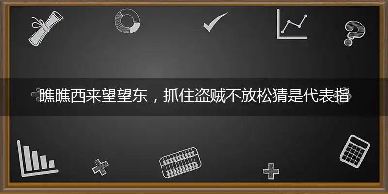 瞧瞧西来望望东,抓住盗贼不放松