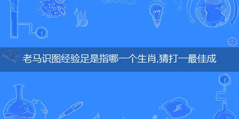 老马识图经验足